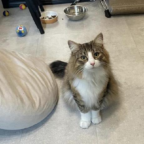 Research Multi-API Search