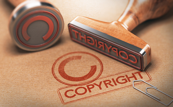 Shanghai's First AI Copyright Case Concludes, Meleagris Image Plagiarism Sparks Controversy